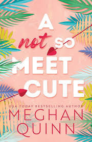 A Not So Meet Cute - (Cane Brothers) by Meghan Quinn (Paperback)